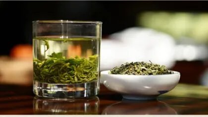 绿茶的品种都有哪些