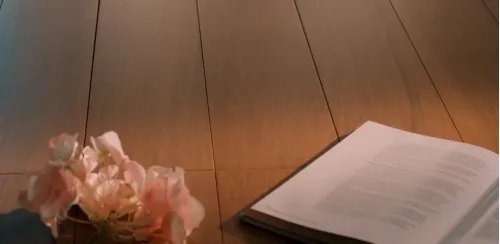 超级现场|助力华为打造高端绿色人居