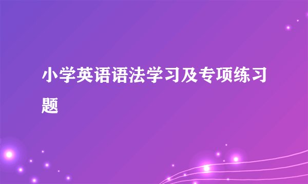 小学英语语法学习及专项练习题