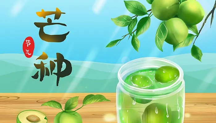 芒种节气吃什么