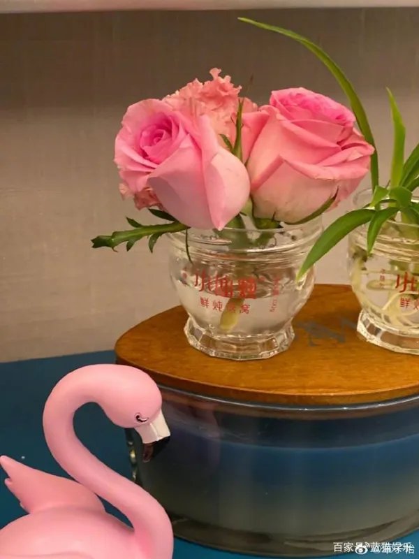 章子怡为何敢如此仗义执言？从她对女儿醒醒的教育是否能看出她的为人