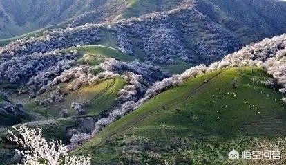 新疆新源县怎么样?