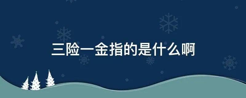 三险一金指的是什么啊