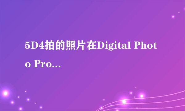5D4拍的照片在Digital Photo Professional软件上无法调整角度