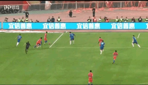 2019年山东鲁能为什么这么受欢迎？是这样吗？