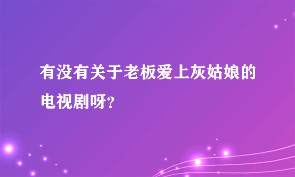 有没有关于老板爱上灰姑娘的电视剧呀？