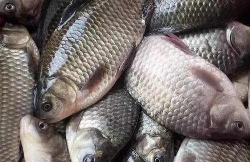 沈阳正宗土特产有哪些_可以带回家的正宗土特产推荐