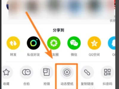 抖音怎么不能设置动态壁纸了