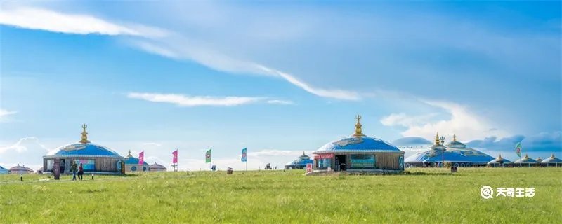 老舍草原出自哪里