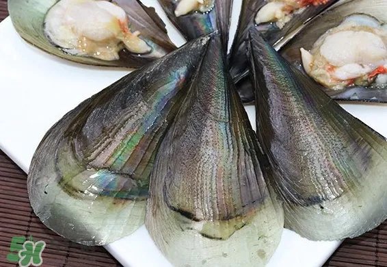 带子是什么海鲜？带子是什么东西