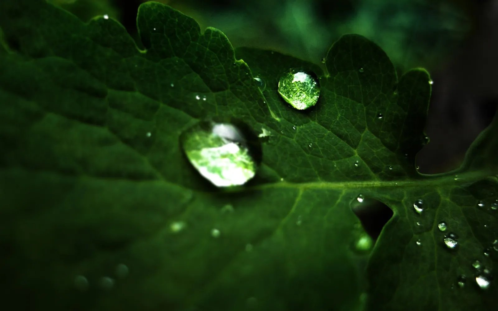 范冰冰38岁低调庆生