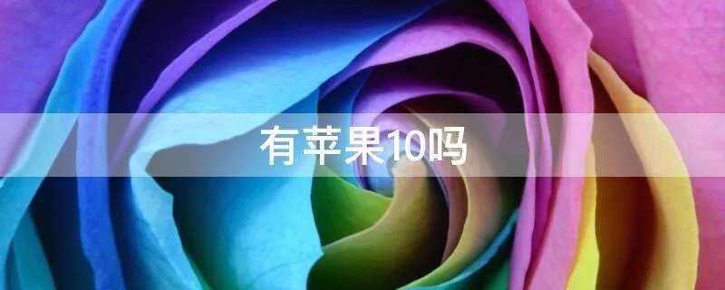 有苹果10吗