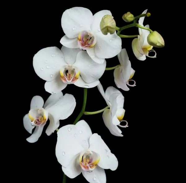 鑫荣懋企业文化是什么有知道的吗?