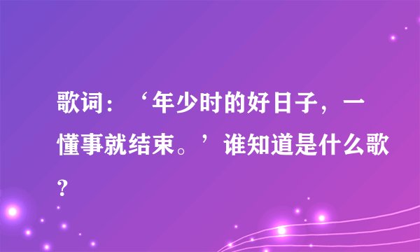 歌词：‘年少时的好日子，一懂事就结束。’谁知道是什么歌？