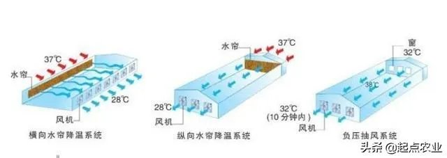 温室大棚的工作原理是什么？