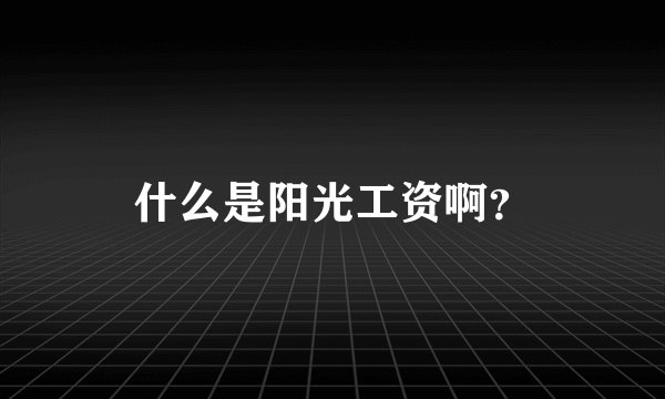 什么是阳光工资啊？