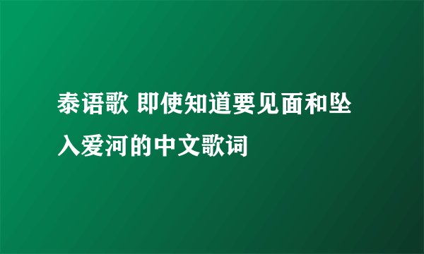 泰语歌 即使知道要见面和坠入爱河的中文歌词