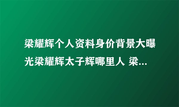 梁耀辉个人资料身价背景大曝光梁耀辉太子辉哪里人 梁耀辉老婆是谁