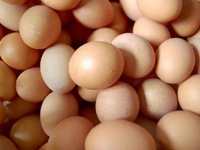 土鸡蛋的营养价值?