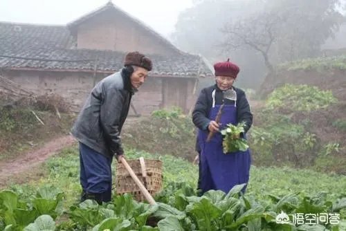 西安一六十岁大爷地铁上下跪，叫年轻漂亮女孩妈妈只为要一块钱，你怎么看？