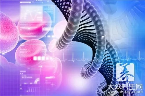 怎样验dna亲子鉴定