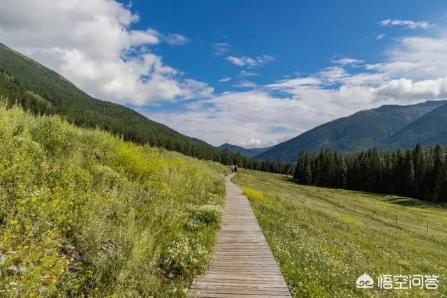 喀纳斯的风景如何?