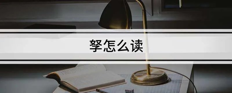 孥怎么读