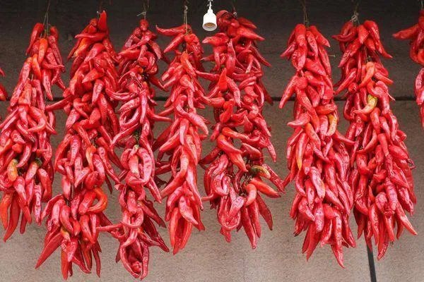 辣椒树能活几年？