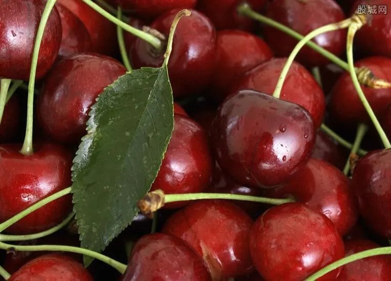 车厘子多少钱一斤 2020年最新价格行情