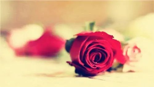 结婚周年纪念日祝福语 结婚周年纪念日是领证那天还是结婚那天