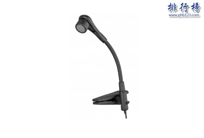 电容麦哪个牌子好 2018电容麦品牌排行榜
