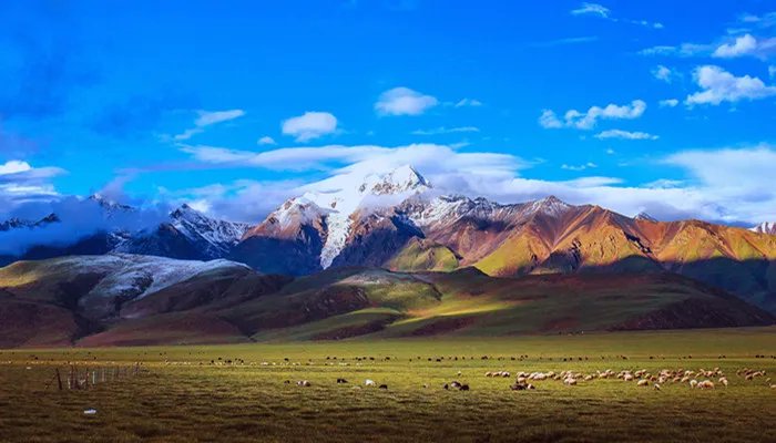 羊湖在西藏哪个位置 羊湖在西藏什么地方