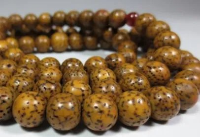 菩提子有哪些种类？菩提子种类大全图片介绍！