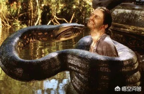 有哪些大蟒蛇类的特效电影值得推荐?