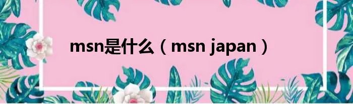 msn是什么（msn japan）