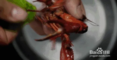 大虾来了小龙虾