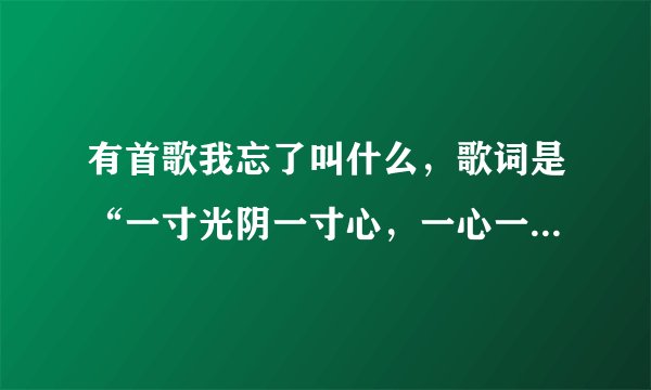 有首歌我忘了叫什么，歌词是“一寸光阴一寸心，一心一意捧在手掌心”谁知道这歌叫什么？