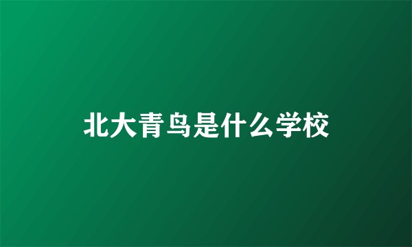 北大青鸟是什么学校