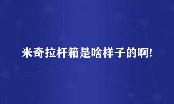 米奇拉杆箱是啥样子的啊!