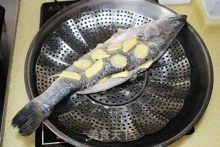 清蒸海鲈鱼