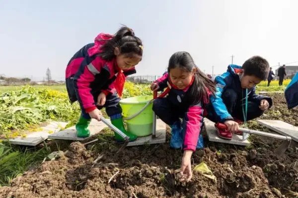 如何看待劳动课正式升级为中小学独立课程？对学生有什么益处？