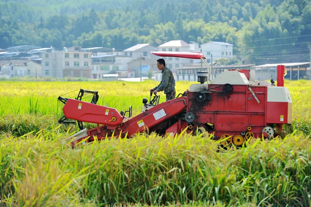 农村土地三权分置是什么意思