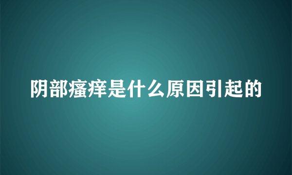 阴部瘙痒是什么原因引起的