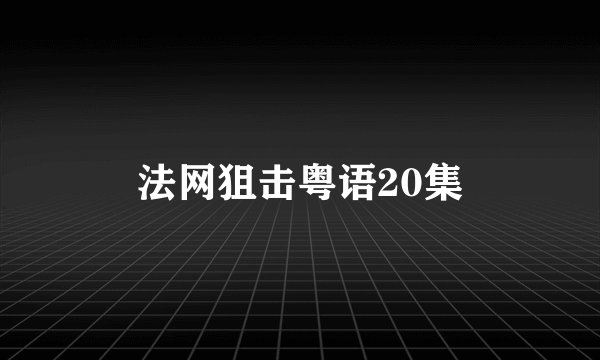 法网狙击粤语20集