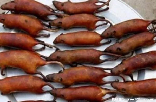 三吱儿里面的老鼠是下水道老鼠吗?