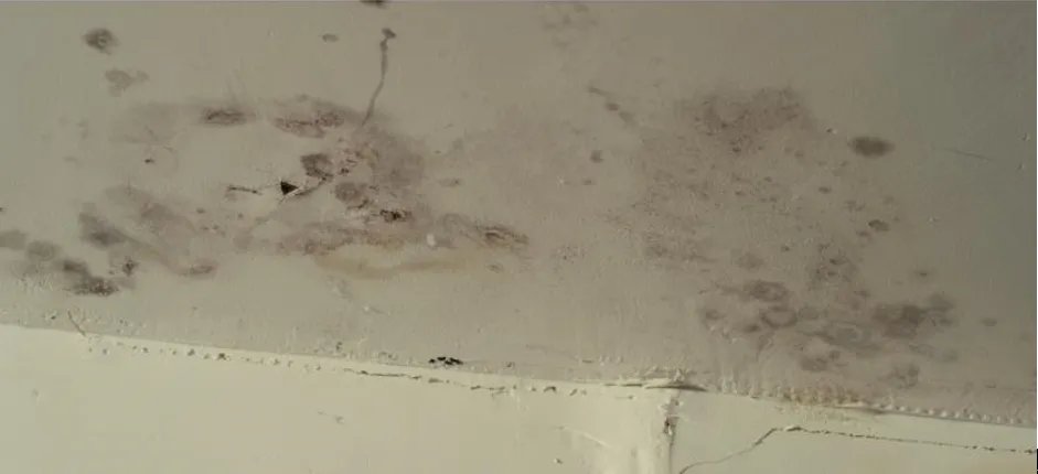 “龙舟水”好凶，屋面又漏不停？