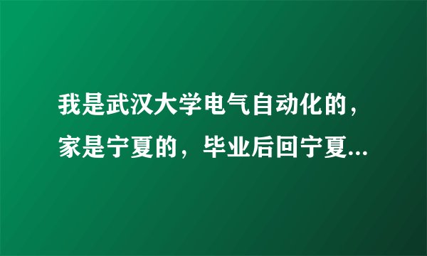 我是武汉大学电气自动化的，家是宁夏的，毕业后回宁夏进供电局好，还是去中广核好，求建议