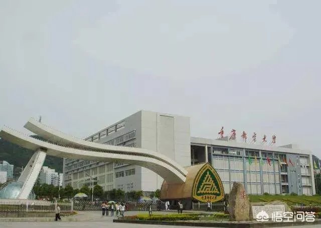 重庆邮电大学怎么样?