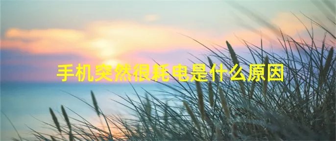 手机突然很耗电是什么原因