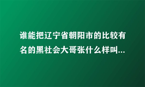 谁能把辽宁省朝阳市的比较有名的黑社会大哥张什么样叫我看看啊？？以后看见他们好躲远点。谁能传下照片啊